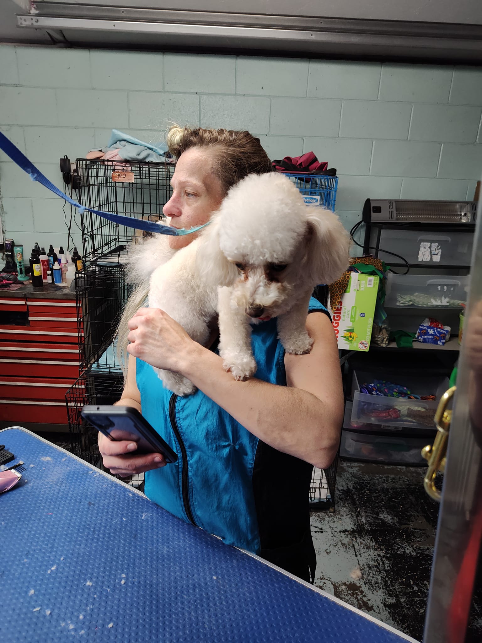Brandy's Pampered Pets groomer holding a freshly groomed white poodle in a professional pet grooming facility in Louisville, KY