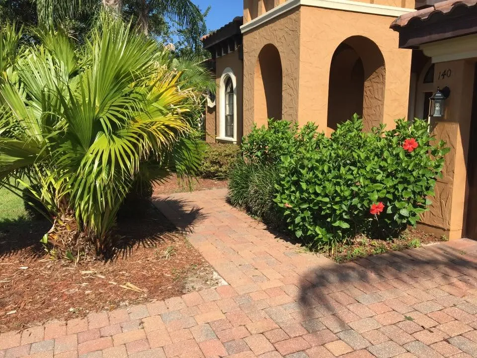 Trimmed hibiscus and palmetto beds along a paver entry walk in DeLand, FL