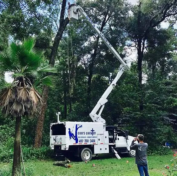 God's Country bucket truck extended into an oak canopy in DeLand, FL