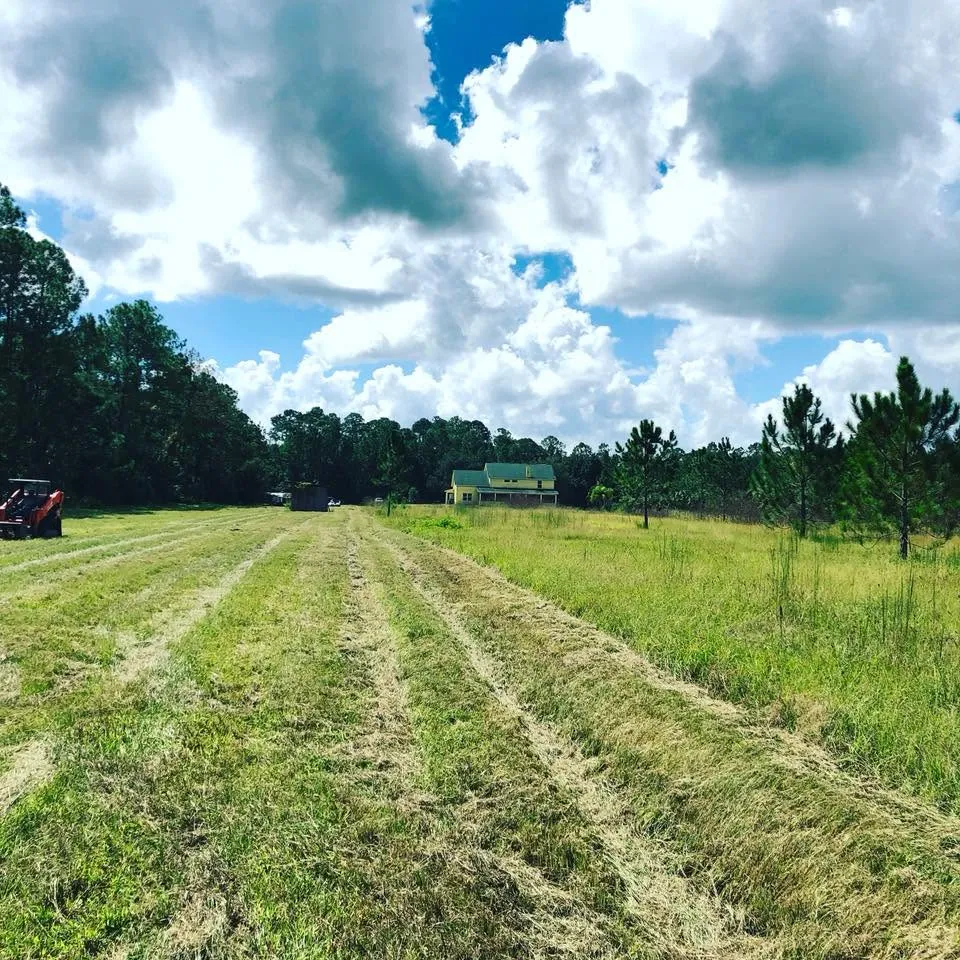 Freshly mowed acreage with skid steer near DeLand, FL