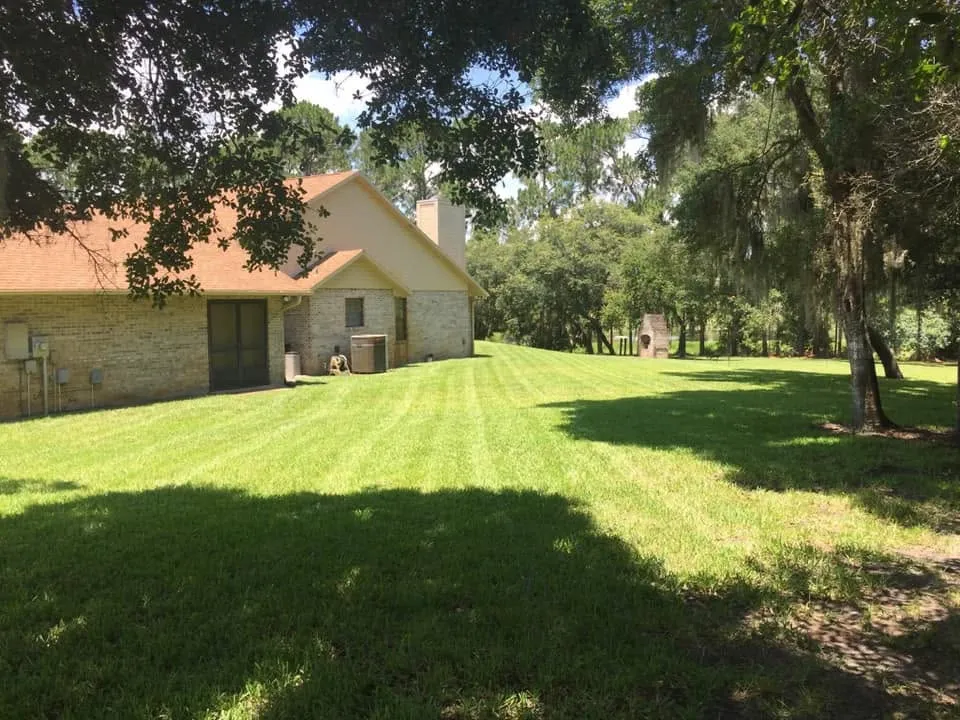 Clean oak-framed backyard after tree work at a DeLand, FL home
