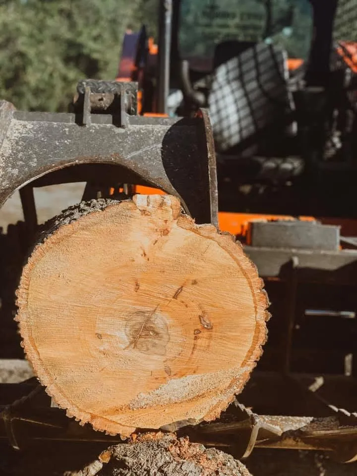 Grapple loader carrying a massive fresh-cut log section during fallen tree cleanup in DeLand, FL