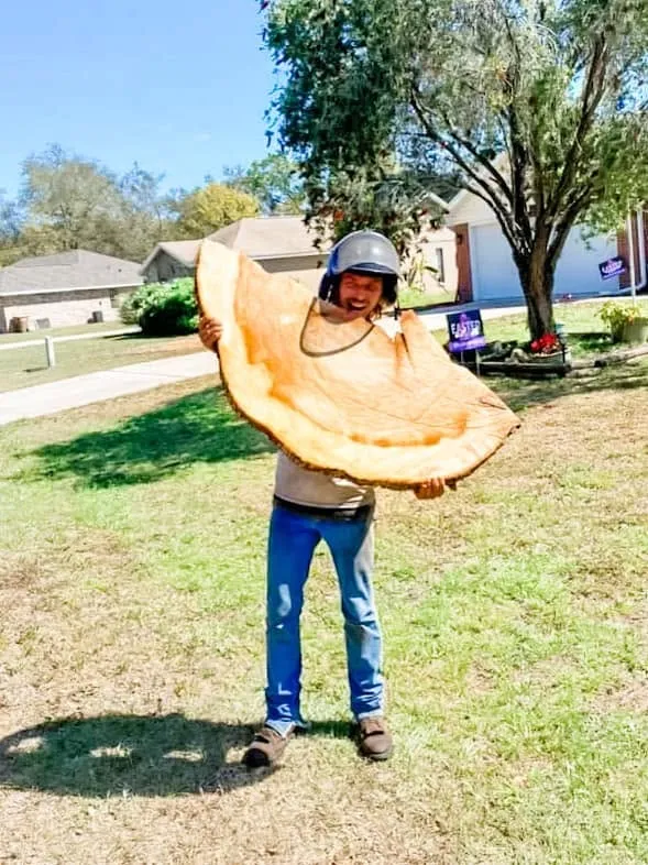 Crew member holding a huge cross-cut trunk slab after a DeLand, FL tree removal