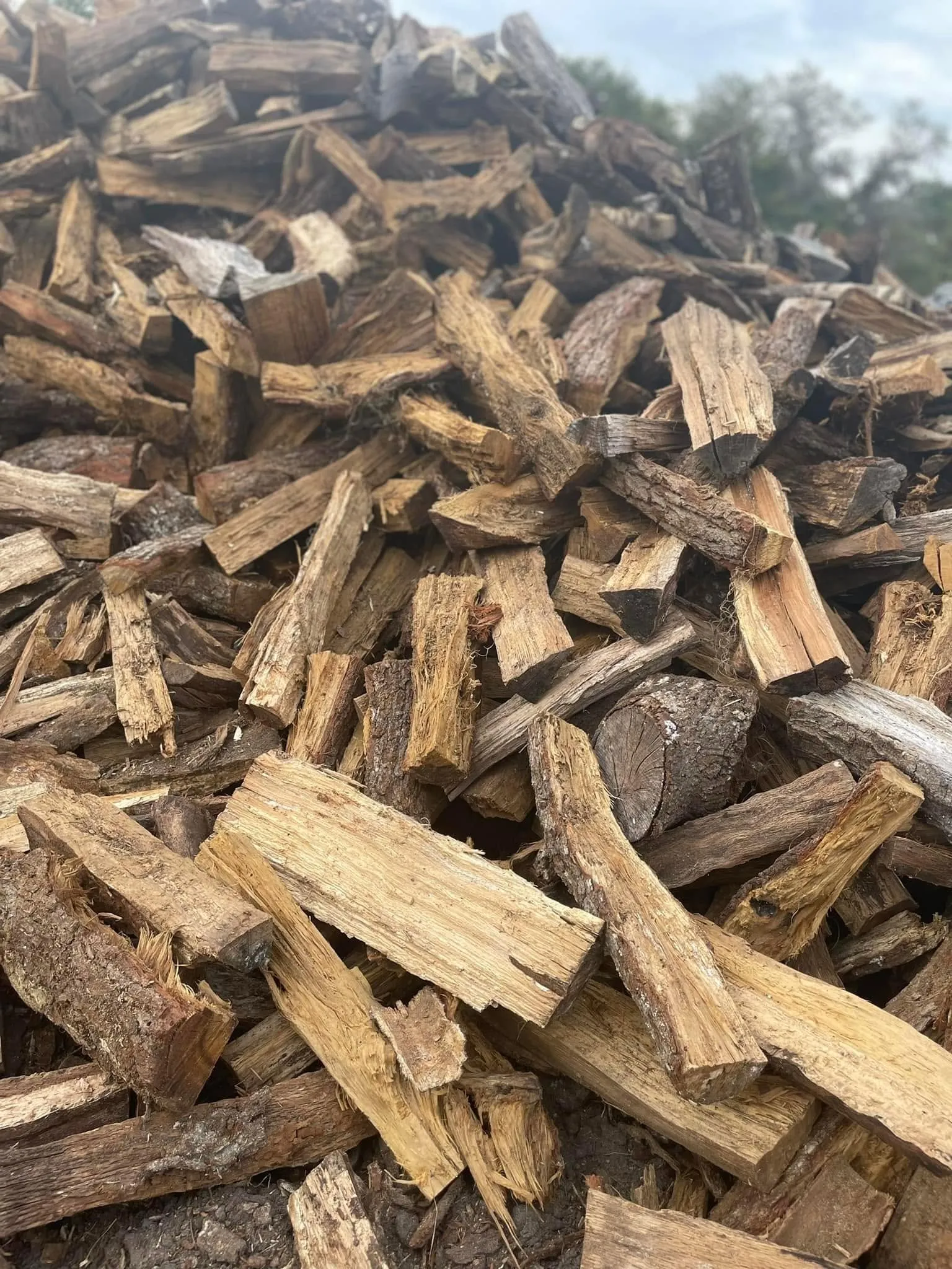 Split firewood pile from local tree removals in DeLand, FL