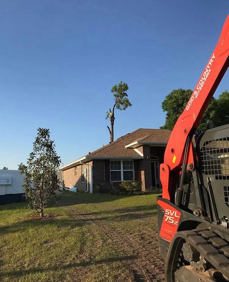 God's Country Kubota loader on site while a climber tops a tree in DeLand, FL