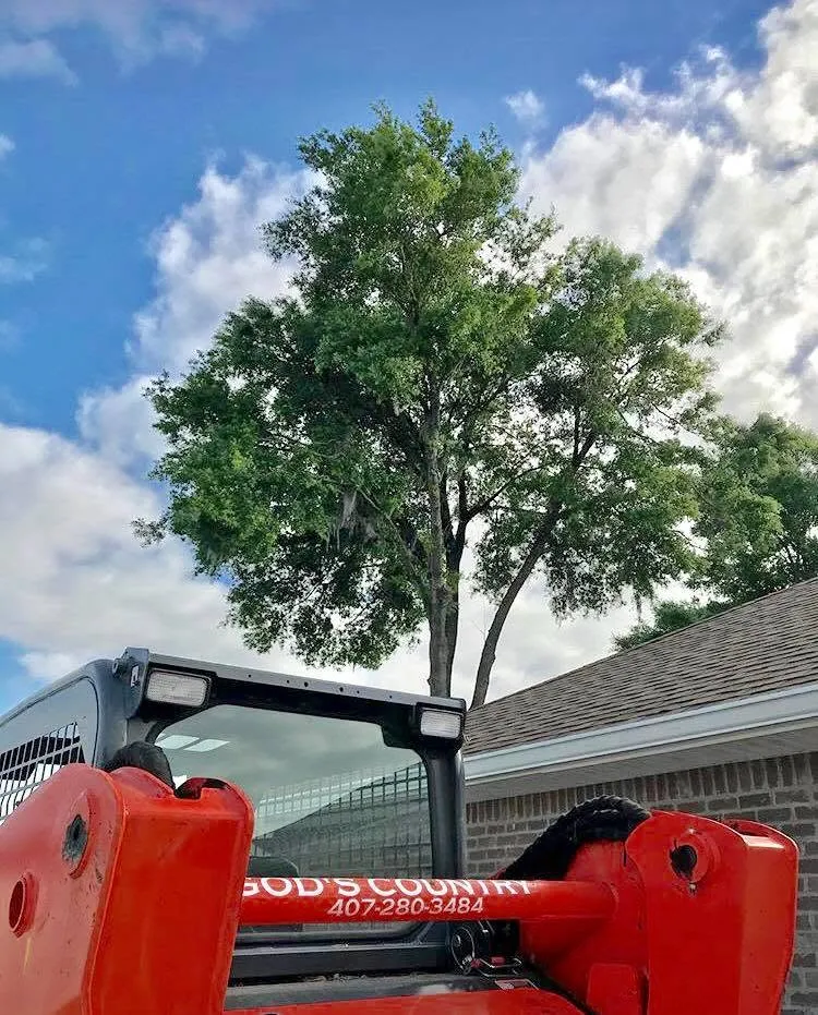 God's Country grapple loader beside a green oak at a DeLand, FL home